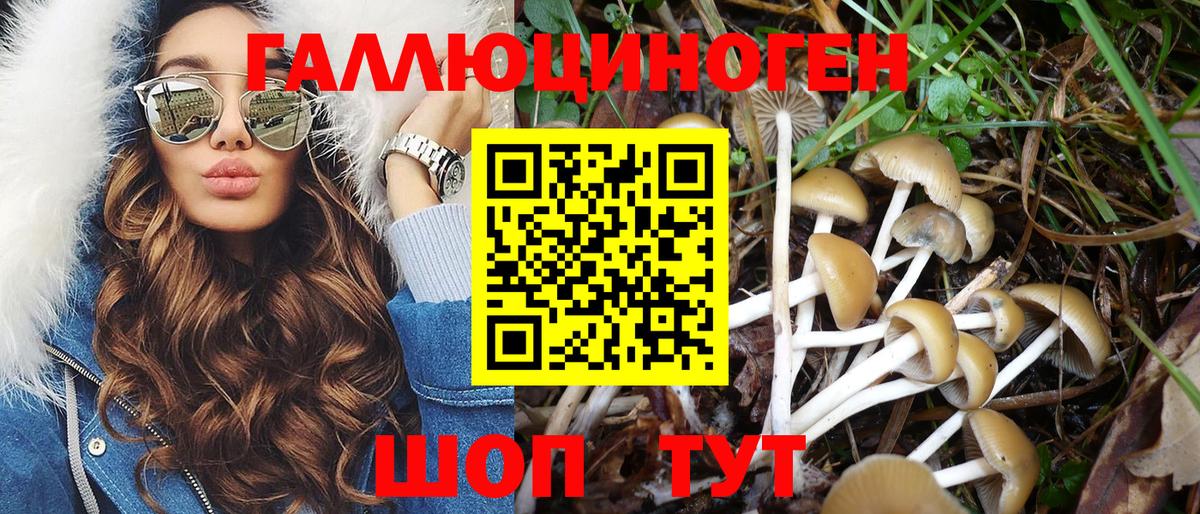 Галлюциногенные грибы Magic Shrooms  наркошоп  Вход с VPN  Еманжелинск  Псилоцибиновые грибы Cubensis 