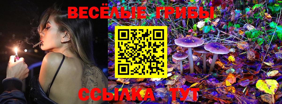Псилоцибиновые грибы прущие грибы Еманжелинск